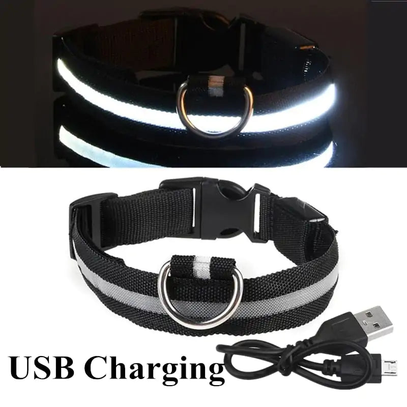 Adjustable LED Pet Collar