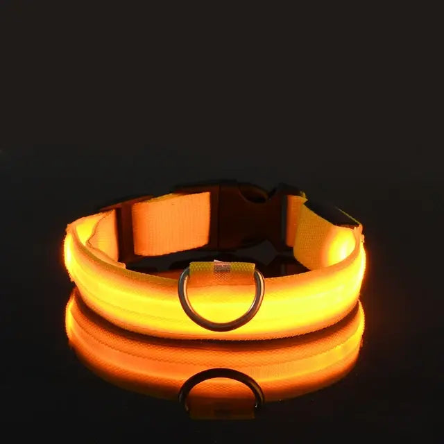 Flashing Glow Dog Collar